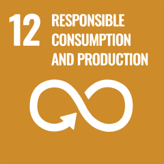 SDG12